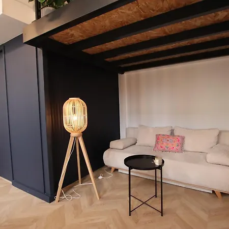 Canut Moderne Idealement Situe A Croix Rousse Apartment