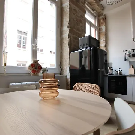 Apartment Canut Moderne Idealement Situe A Croix Rousse