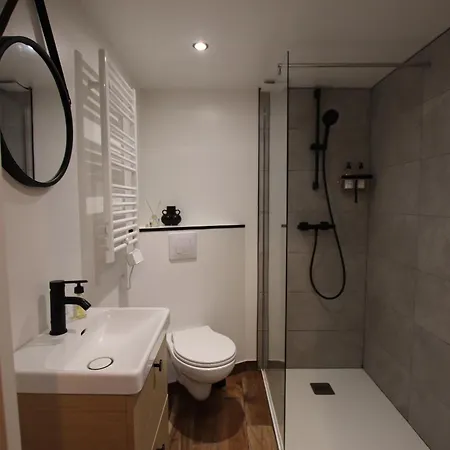 Canut Moderne Idealement Situe A Croix Rousse Apartment *