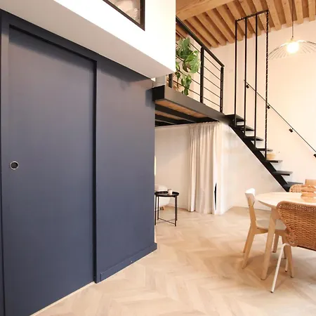 Apartment Canut Moderne Idealement Situe A Croix Rousse