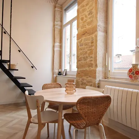 Canut Moderne Idealement Situe A Croix Rousse Apartment *