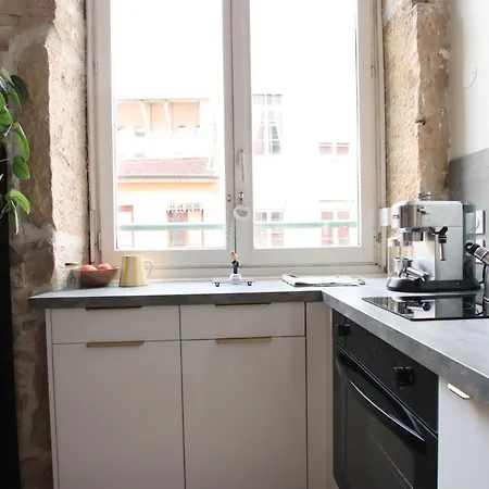 Canut Moderne Idealement Situe A Croix Rousse Apartment *