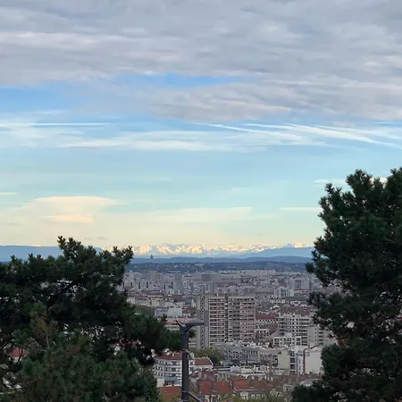 Canut Moderne Idealement Situe A Croix Rousse *