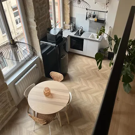 Canut Moderne Idealement Situe A Croix Rousse Apartment