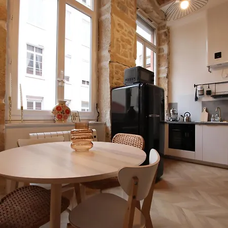 Canut Moderne Idealement Situe A Croix Rousse Apartment Lyon