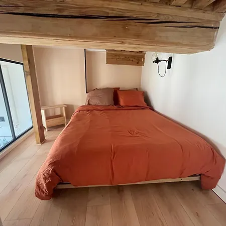 Canut Moderne Idealement Situe A Croix Rousse Apartment